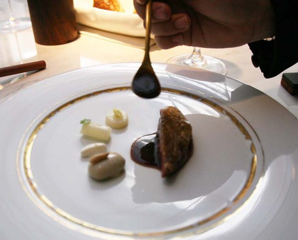 EL extraordinario pichón.